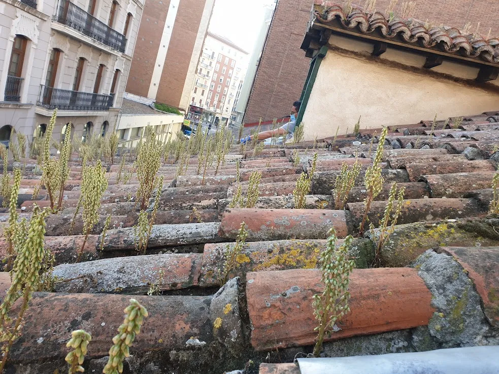 Foto del proyecto MUSEO CASA DE CERVANTES
